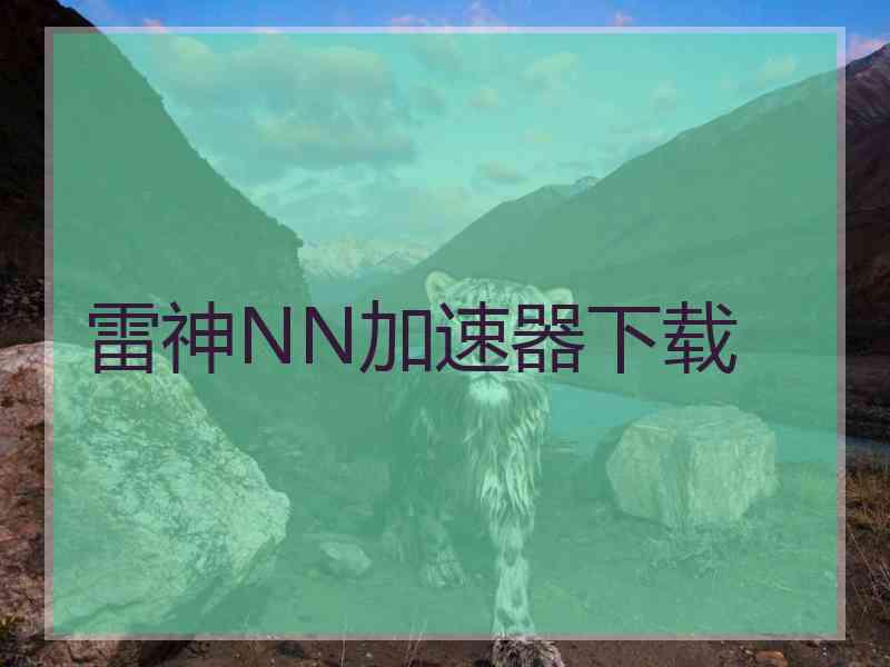 雷神NN加速器下载