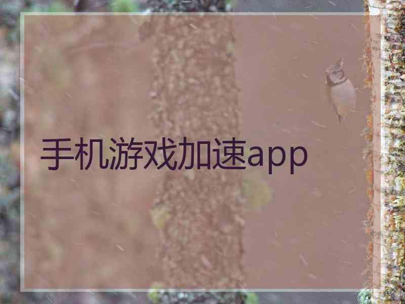 手机游戏加速app