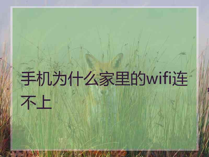 手机为什么家里的wifi连不上