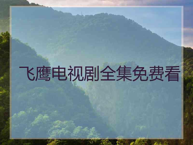 飞鹰电视剧全集免费看
