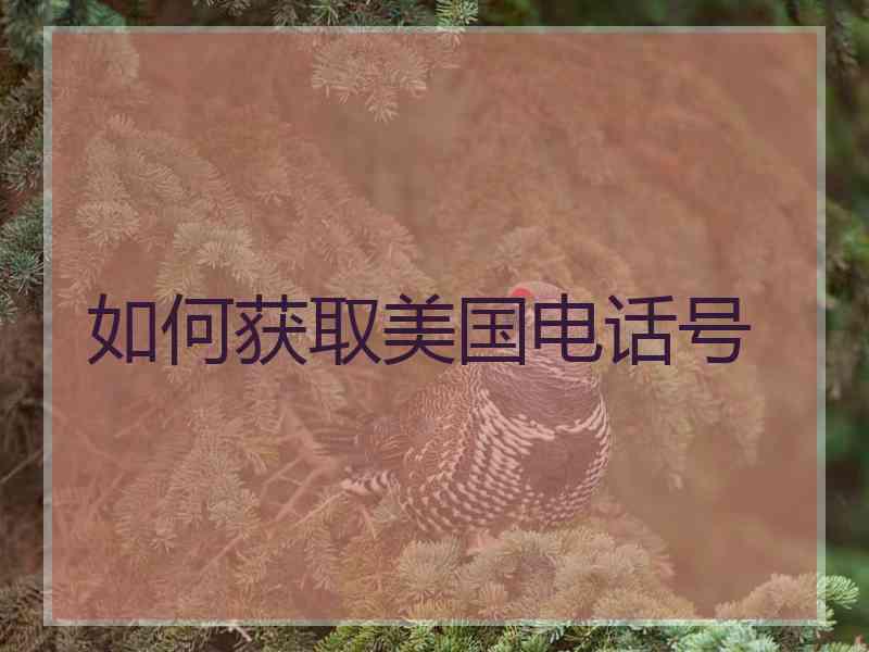 如何获取美国电话号