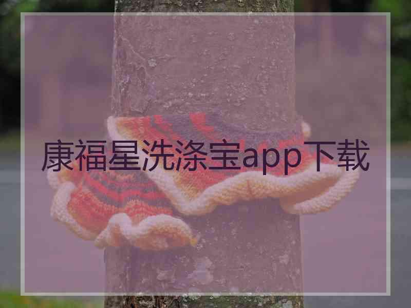 康福星洗涤宝app下载