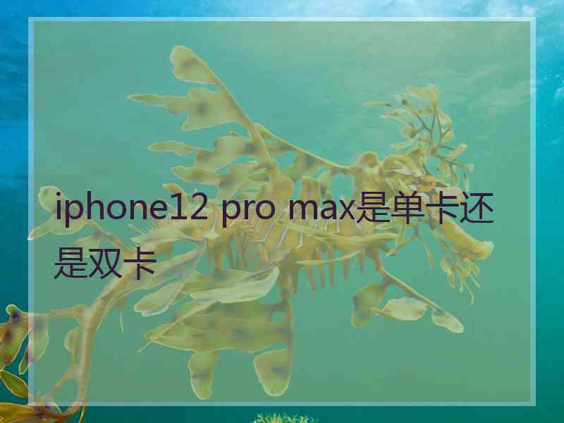 iphone12 pro max是单卡还是双卡