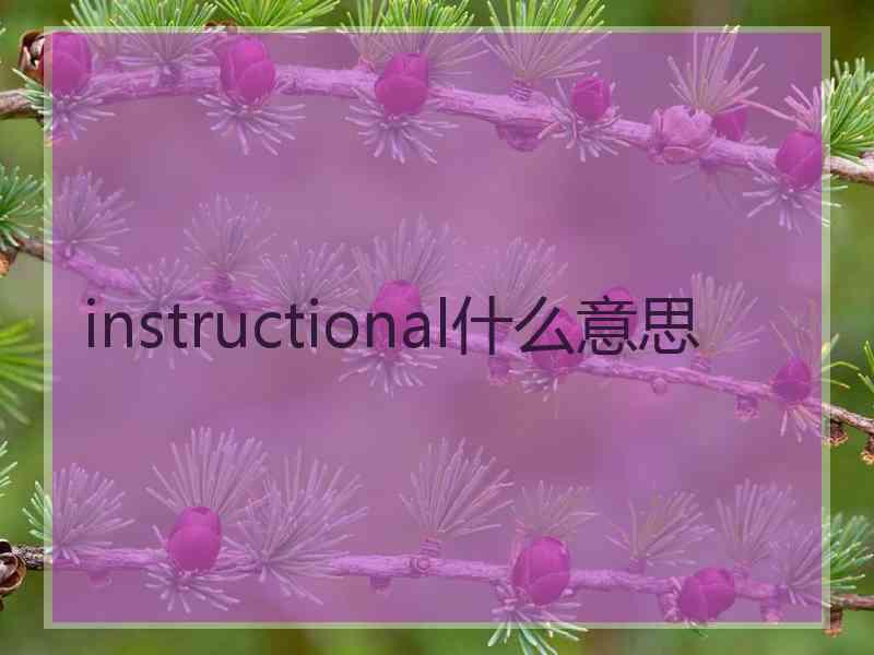 instructional什么意思