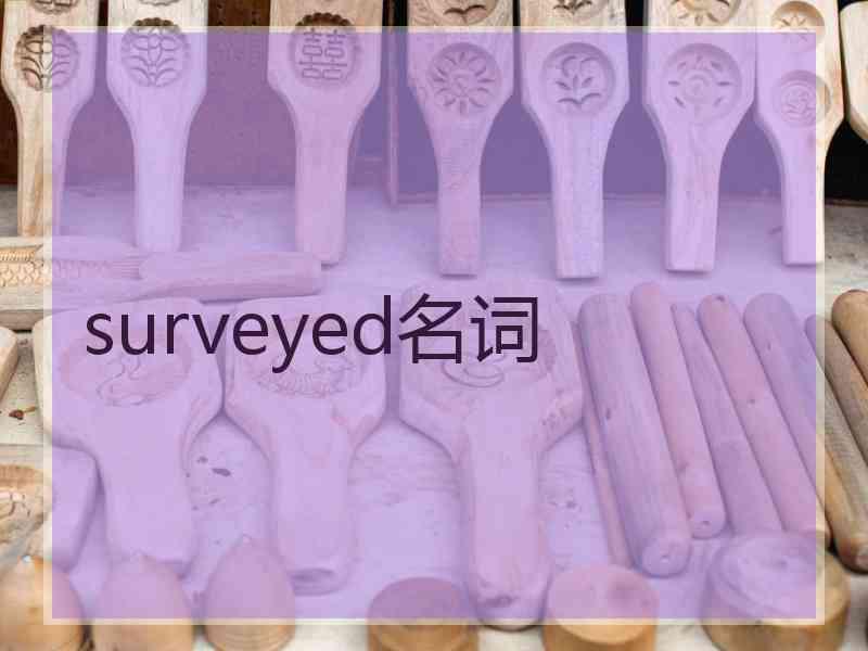surveyed名词