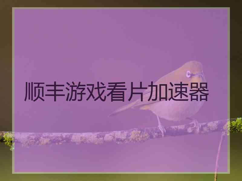 顺丰游戏看片加速器