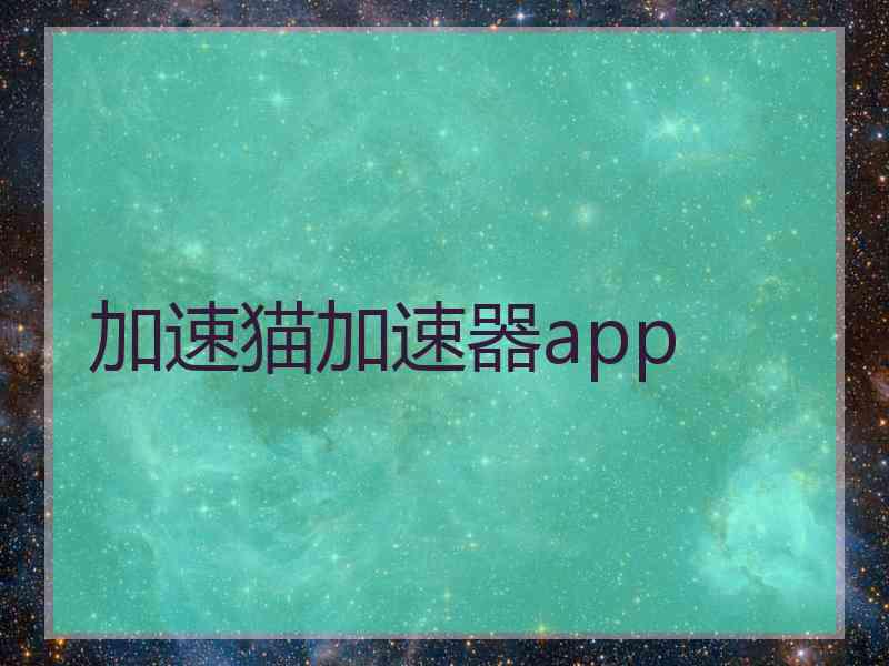 加速猫加速器app
