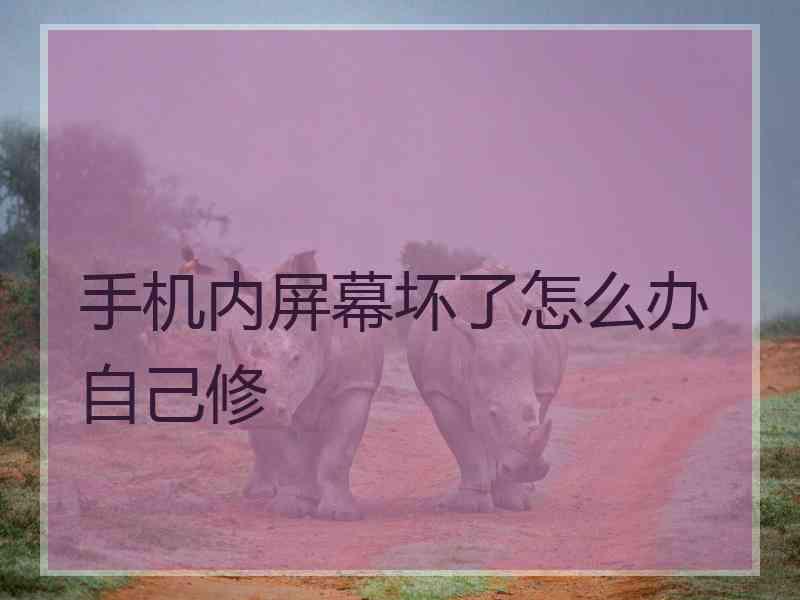 手机内屏幕坏了怎么办自己修