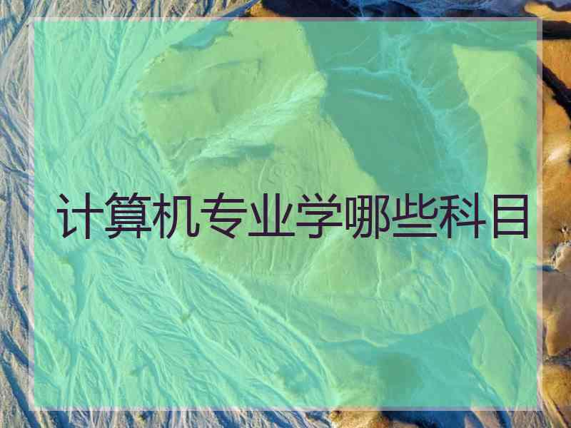 计算机专业学哪些科目