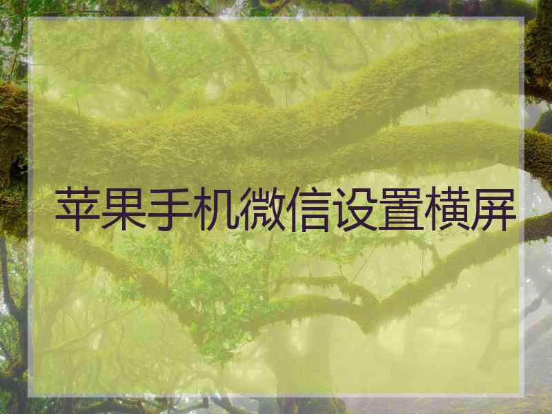 苹果手机微信设置横屏
