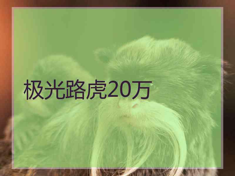 极光路虎20万
