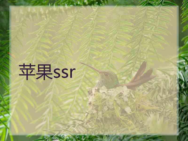 苹果ssr
