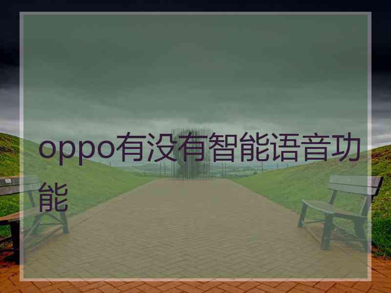 oppo有没有智能语音功能