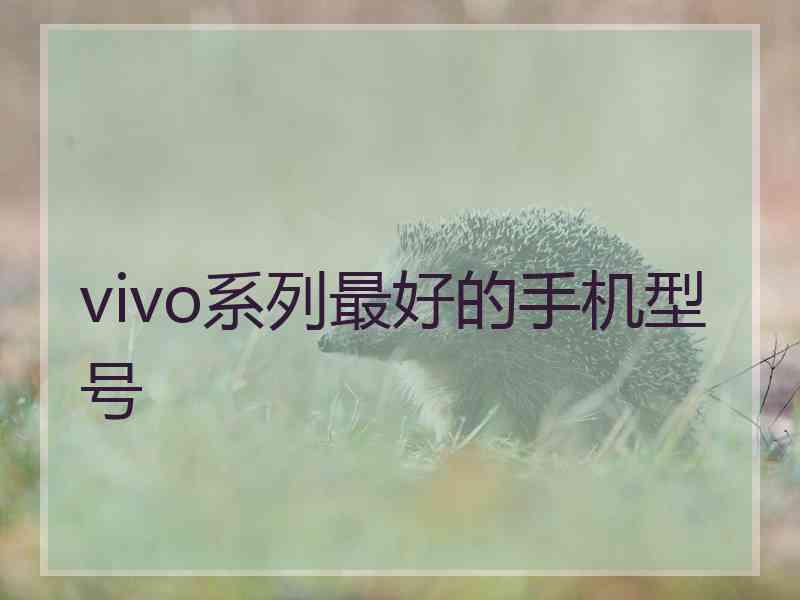 vivo系列最好的手机型号