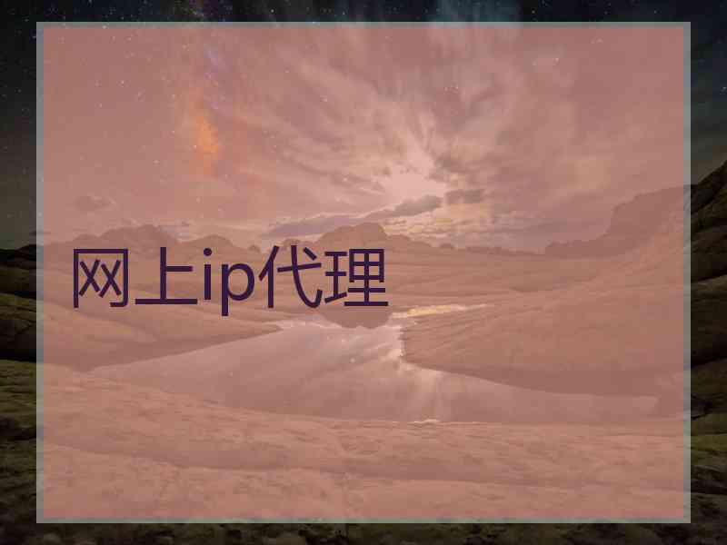 网上ip代理