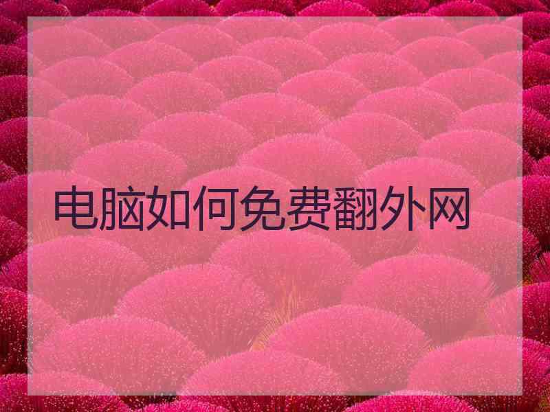 电脑如何免费翻外网