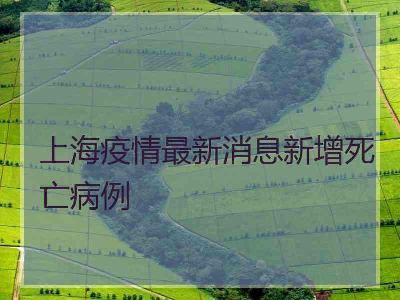 上海疫情最新消息新增死亡病例