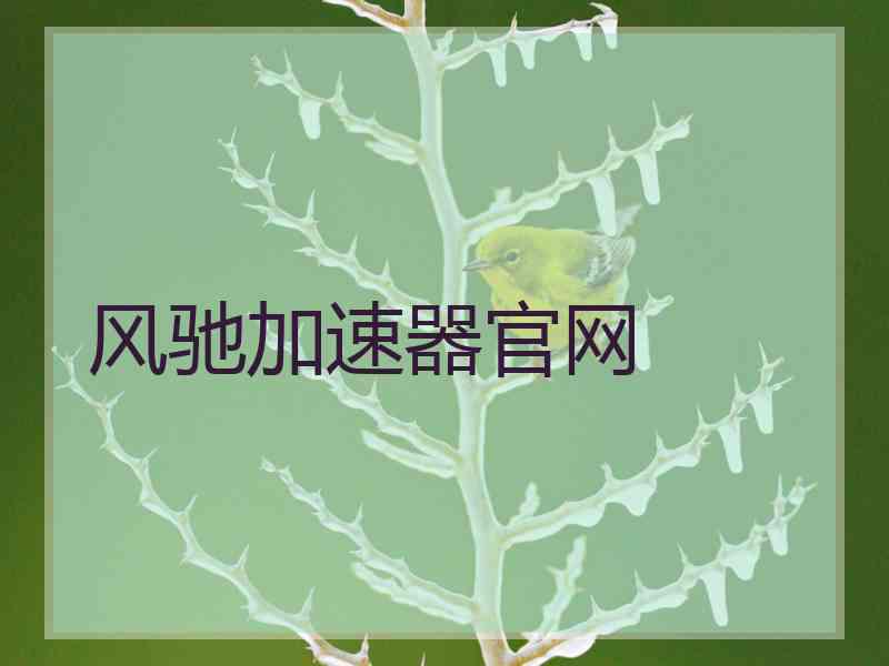 风驰加速器官网