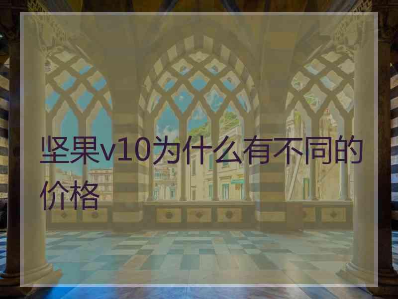 坚果v10为什么有不同的价格