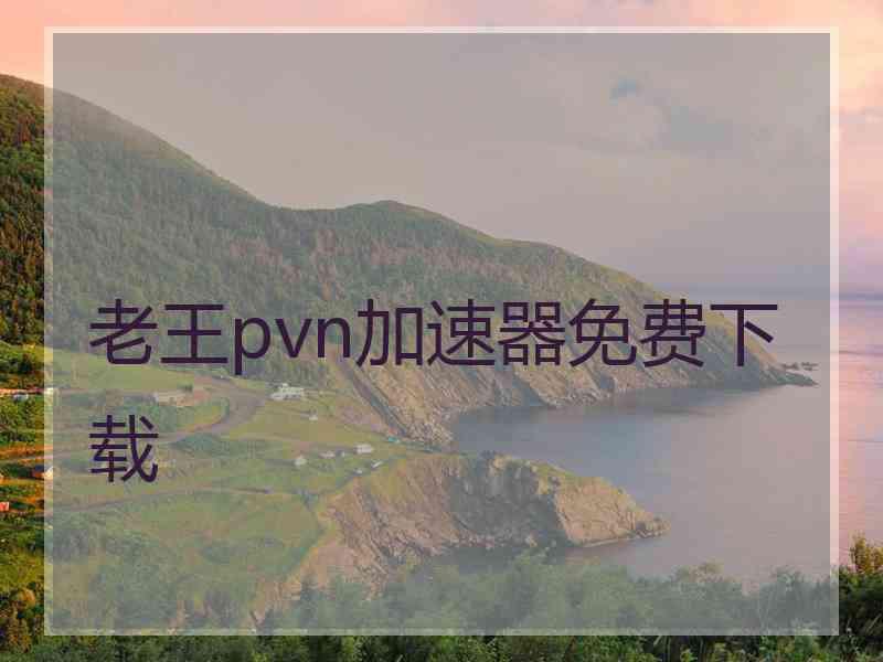 老王pvn加速器免费下载
