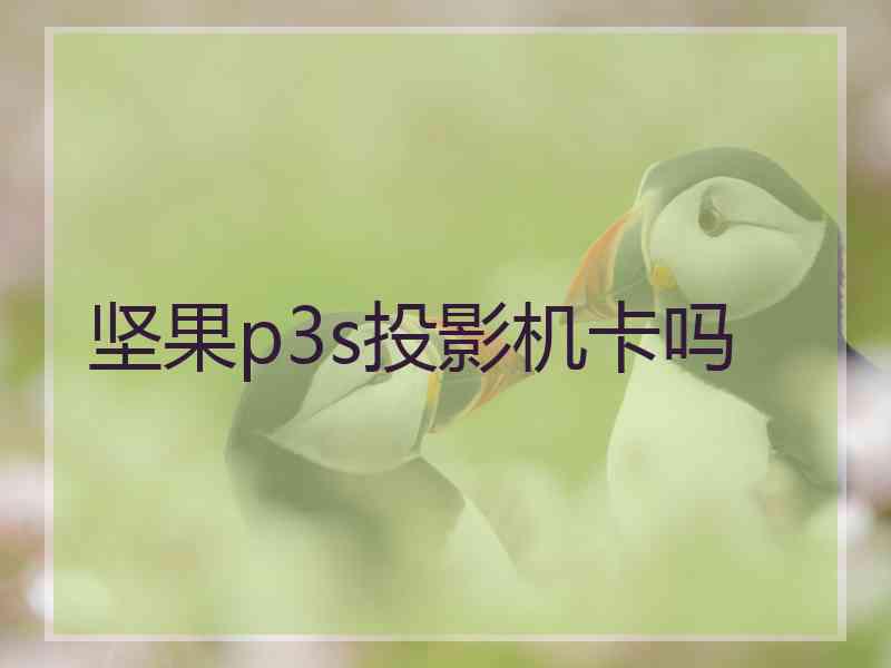 坚果p3s投影机卡吗