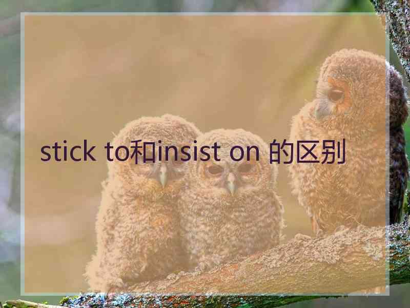 stick to和insist on 的区别