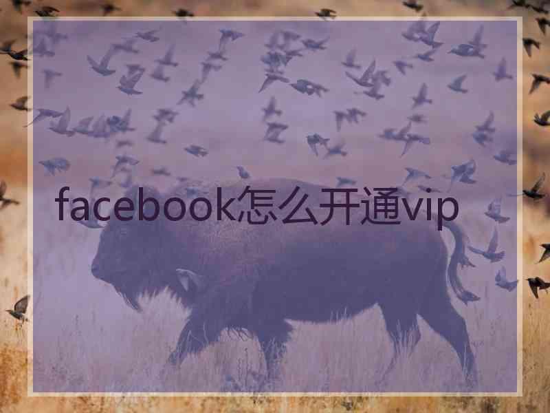 facebook怎么开通vip
