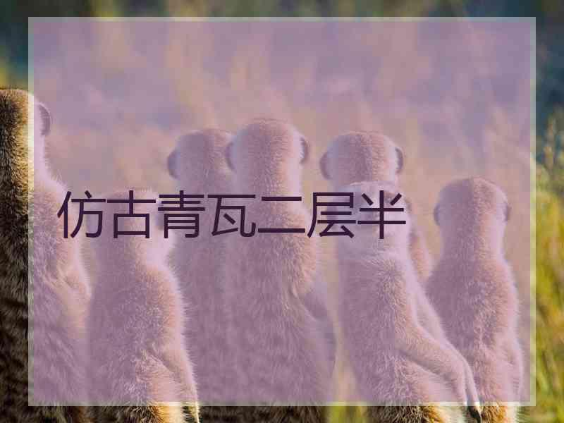仿古青瓦二层半
