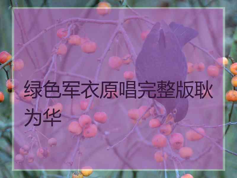 绿色军衣原唱完整版耿为华