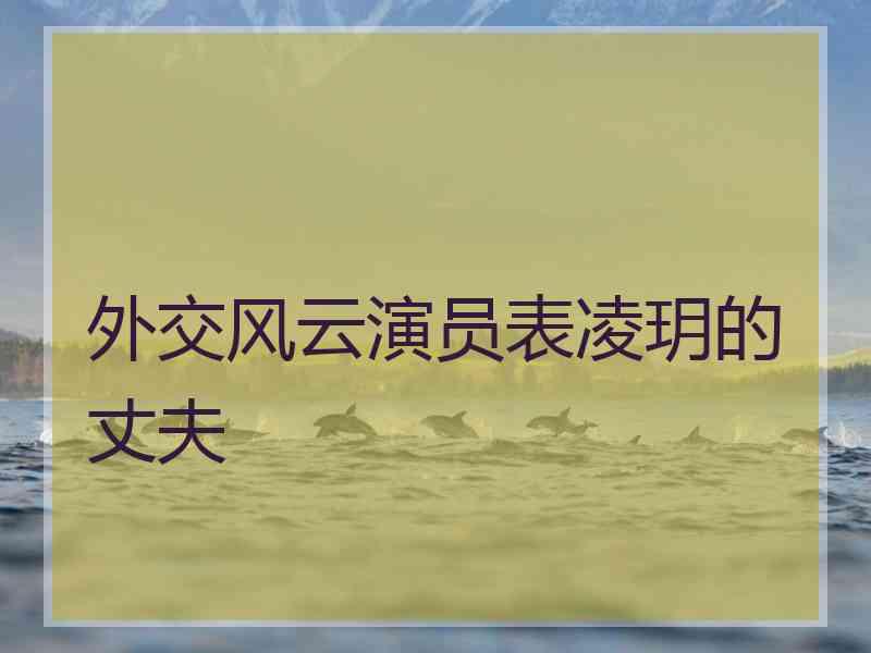 外交风云演员表凌玥的丈夫