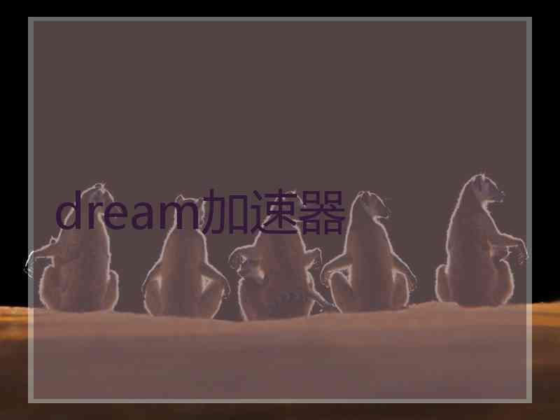 dream加速器