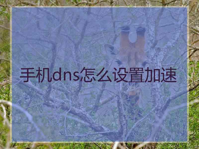 手机dns怎么设置加速