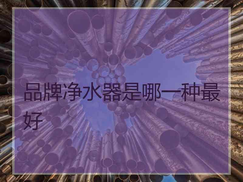 品牌净水器是哪一种最好