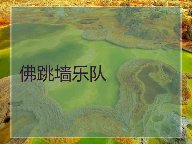 佛跳墙乐队