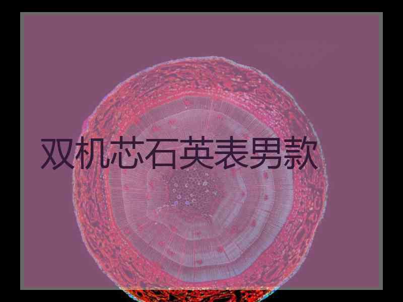 双机芯石英表男款