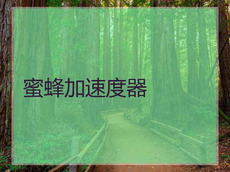 蜜蜂加速度器
