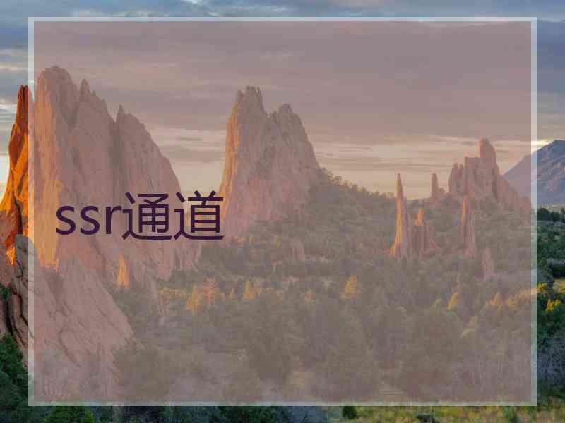 ssr通道