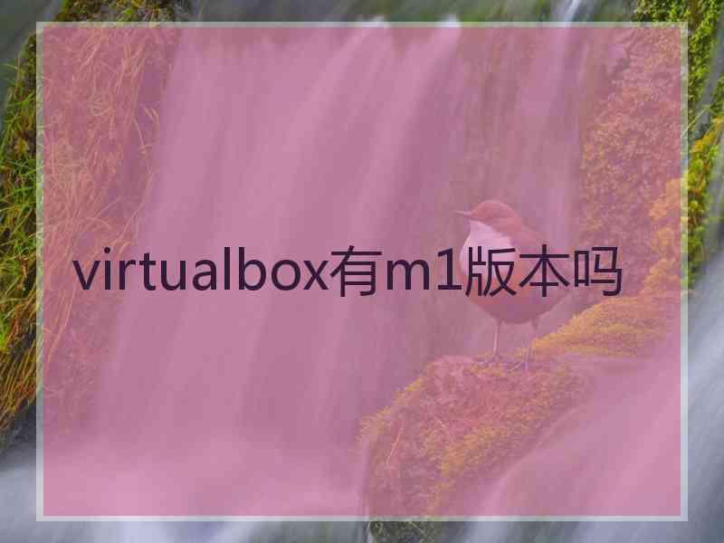 virtualbox有m1版本吗