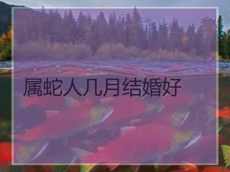 属蛇人几月结婚好