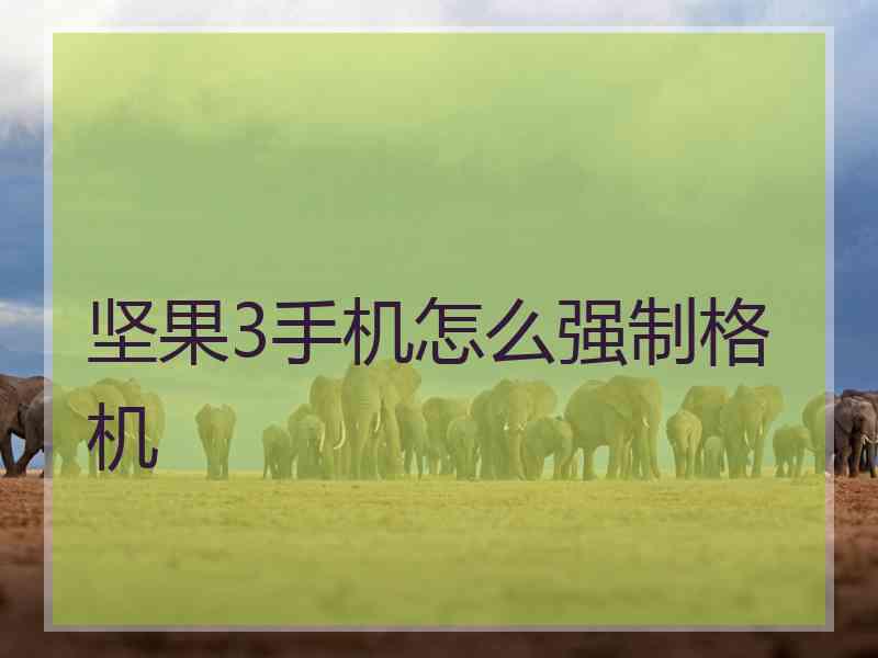 坚果3手机怎么强制格机