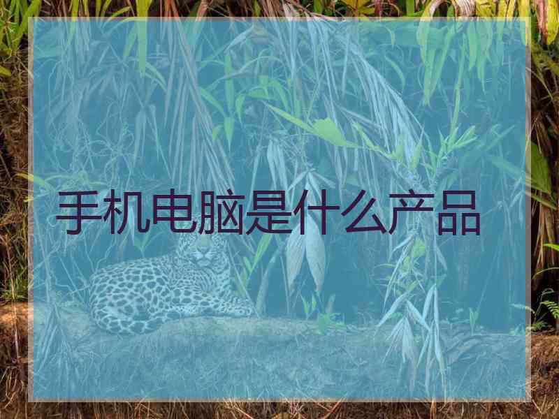 手机电脑是什么产品