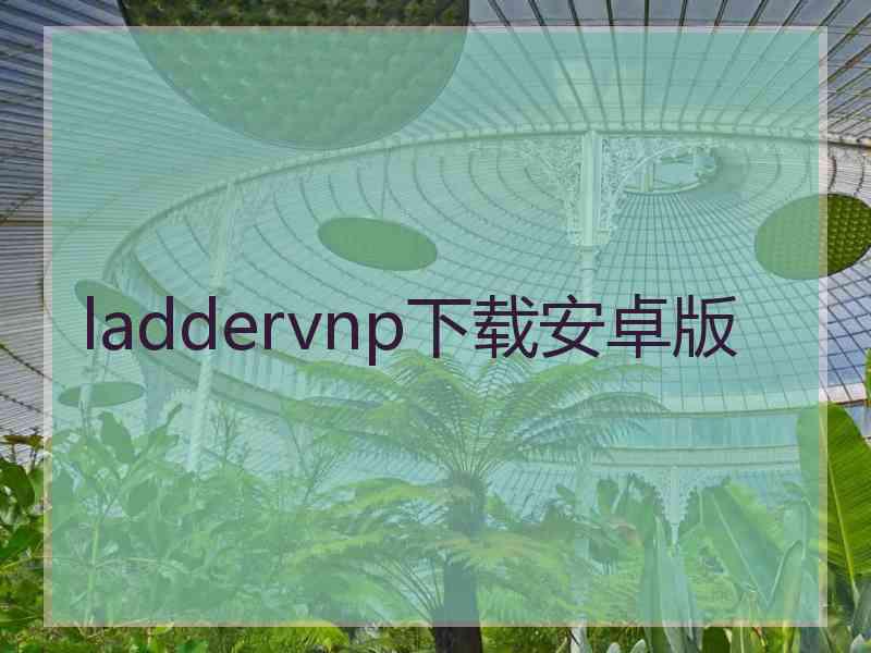 laddervnp下载安卓版