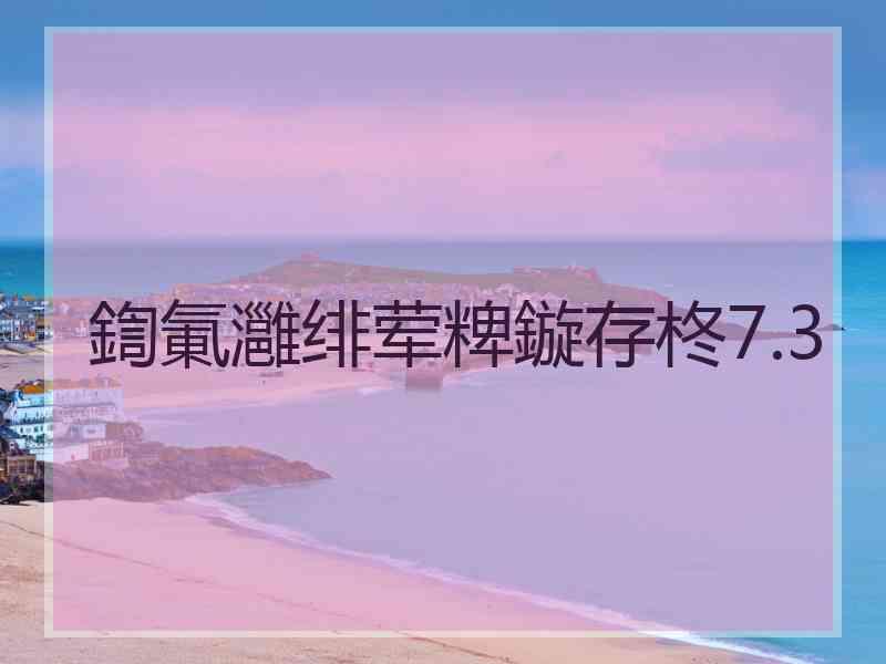 鍧氭灉绯荤粺鏇存柊7.3