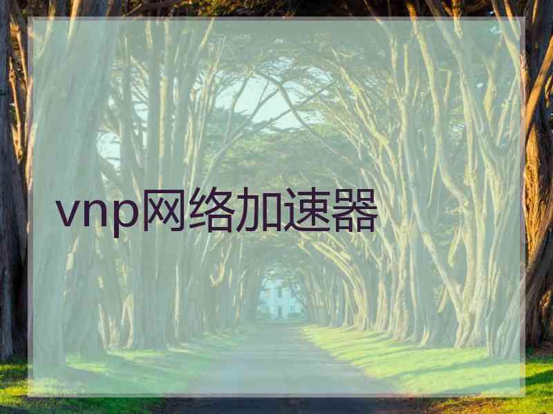 vnp网络加速器