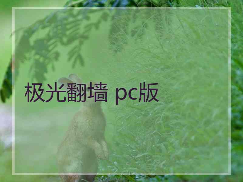 极光翻墙 pc版