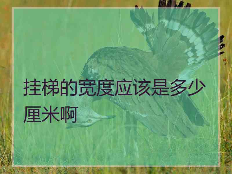 挂梯的宽度应该是多少厘米啊