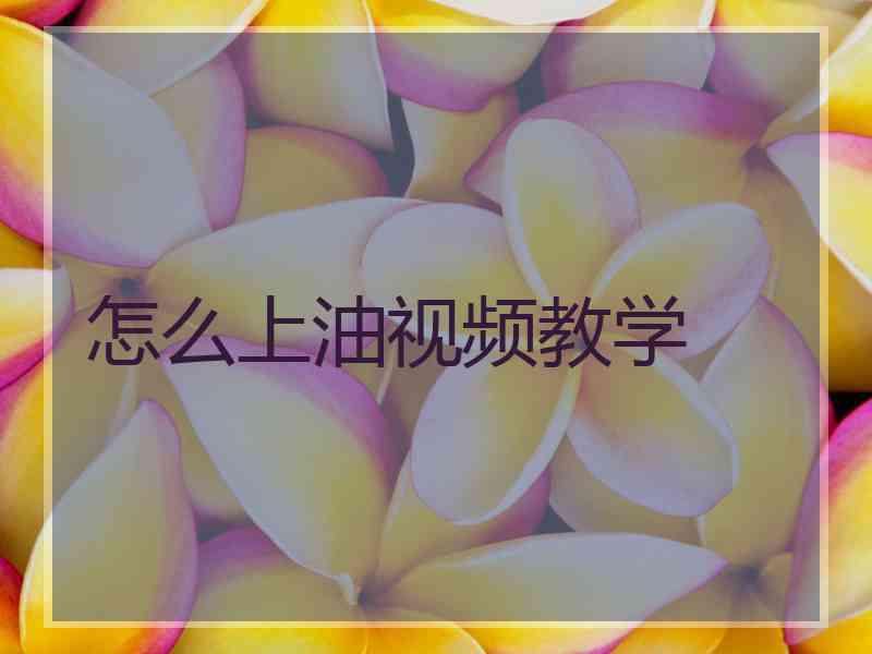 怎么上油视频教学
