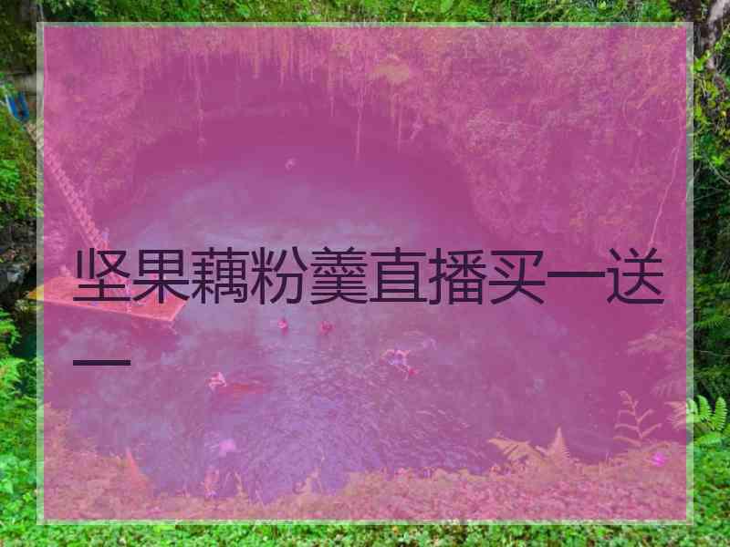 坚果藕粉羹直播买一送一