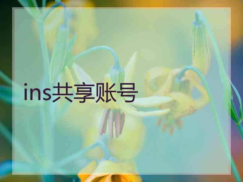 ins共享账号