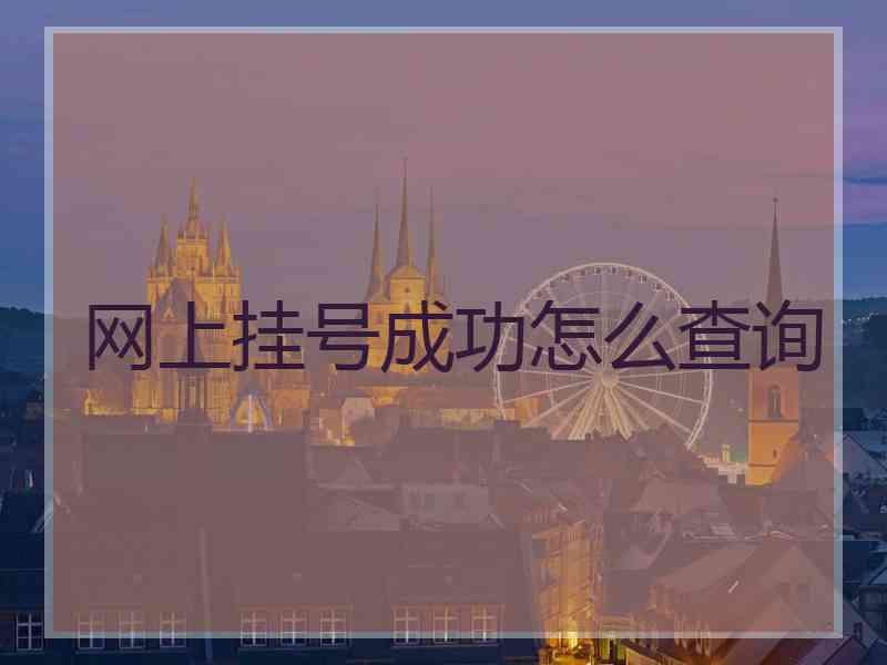 网上挂号成功怎么查询